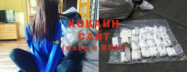 ГАЛЛЮЦИНОГЕННЫЕ ГРИБЫ Белокуриха