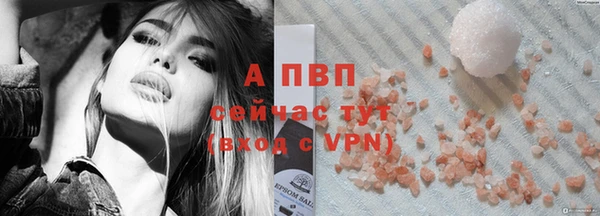 ГАЛЛЮЦИНОГЕННЫЕ ГРИБЫ Белокуриха