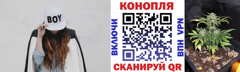 Бошки Шишки ГИДРОПОН Севск